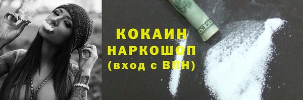 индика Приозерск