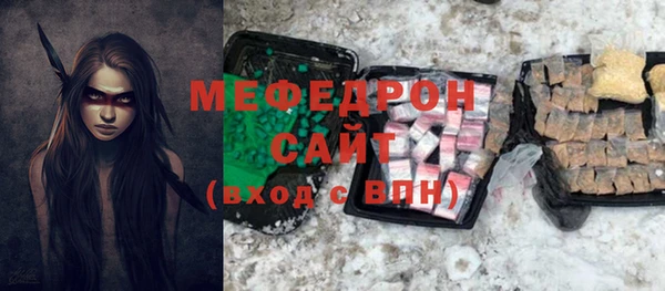 индика Приозерск